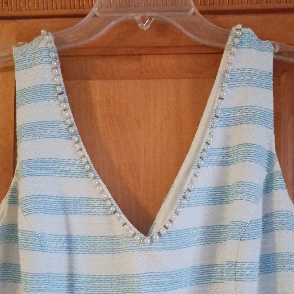 Lilly Pulitzer Laid  Blue and White Striped Dress with Pearl Detail